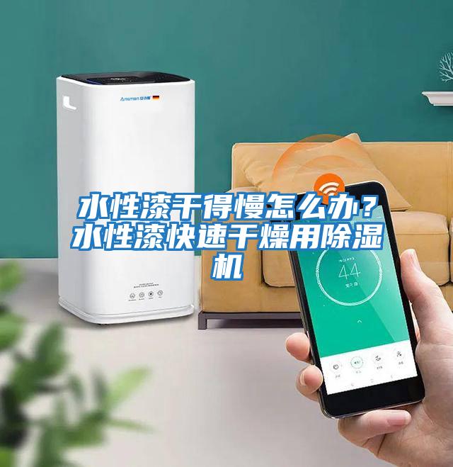 水性漆干得慢怎么辦？水性漆快速干燥用除濕機