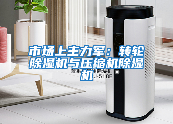市場(chǎng)上主力軍：轉(zhuǎn)輪除濕機(jī)與壓縮機(jī)除濕機(jī)