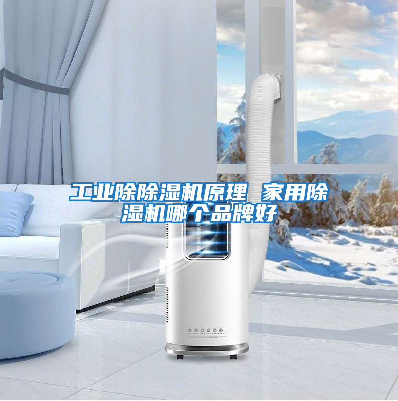 工業除除濕機原理 家用除濕機哪個品牌好