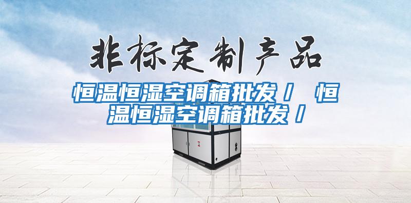 恒溫恒濕空調箱批發/ 恒溫恒濕空調箱批發/