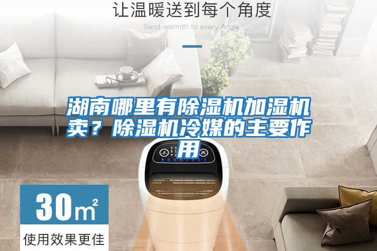 湖南哪里有除濕機加濕機賣？除濕機冷媒的主要作用