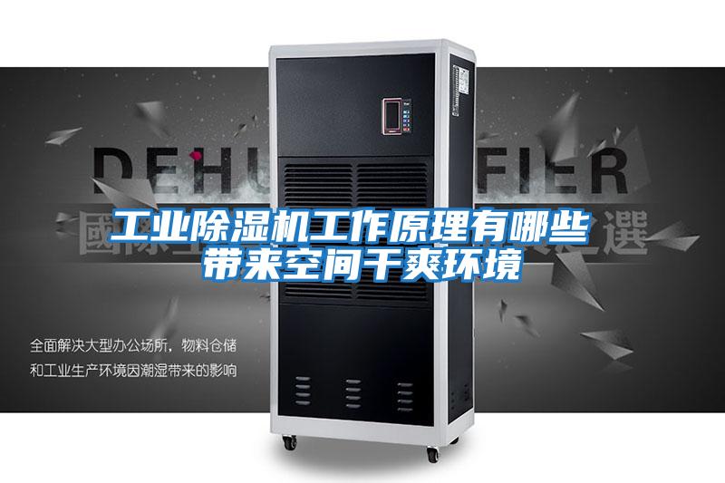 工業除濕機工作原理有哪些 帶來空間干爽環境