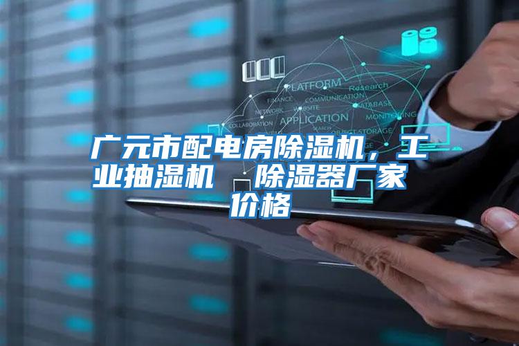 廣元市配電房除濕機，工業抽濕機  除濕器廠家 價格