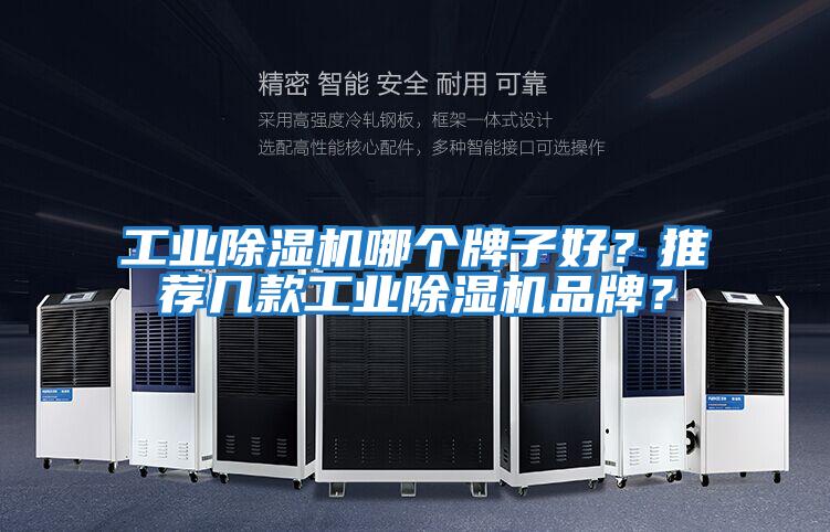 工業除濕機哪個牌子好？推薦幾款工業除濕機品牌？