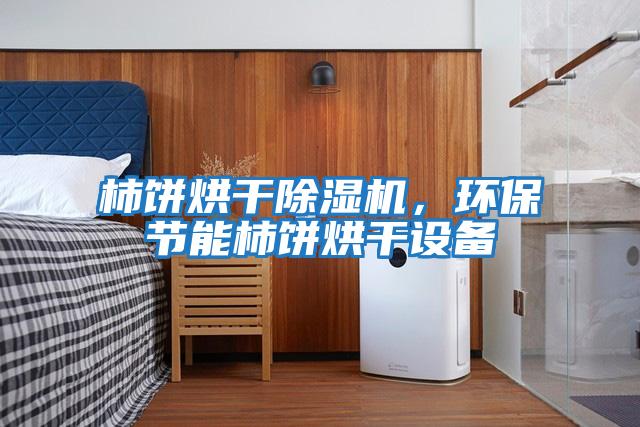 柿餅烘干除濕機，環(huán)保節(jié)能柿餅烘干設(shè)備