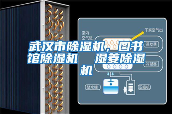 武漢市除濕機，圖書館除濕機  濕菱除濕機