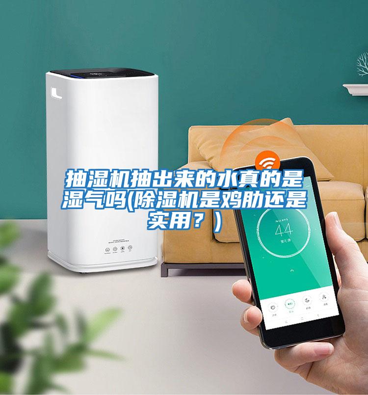 抽濕機(jī)抽出來的水真的是濕氣嗎(除濕機(jī)是雞肋還是實(shí)用?)
