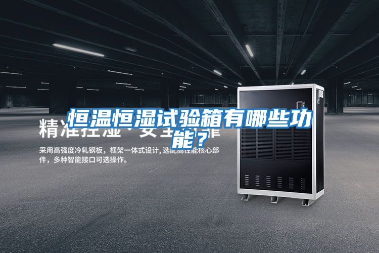 恒溫恒濕試驗箱有哪些功能？