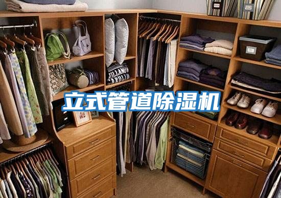 立式管道除濕機