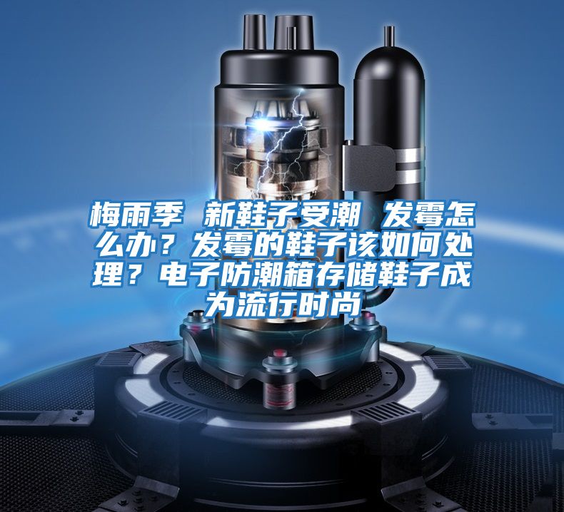 梅雨季 新鞋子受潮 發(fā)霉怎么辦？發(fā)霉的鞋子該如何處理？電子防潮箱存儲鞋子成為流行時(shí)尚