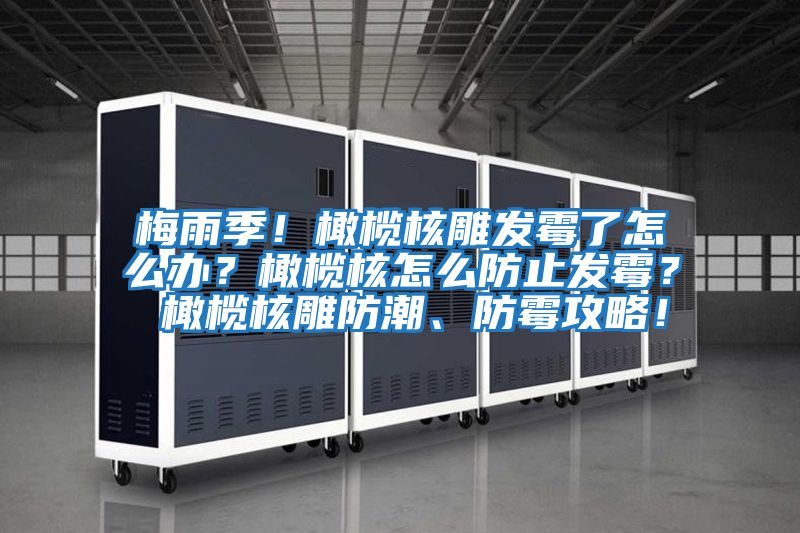 梅雨季！橄欖核雕發霉了怎么辦？橄欖核怎么防止發霉？ 橄欖核雕防潮、防霉攻略！