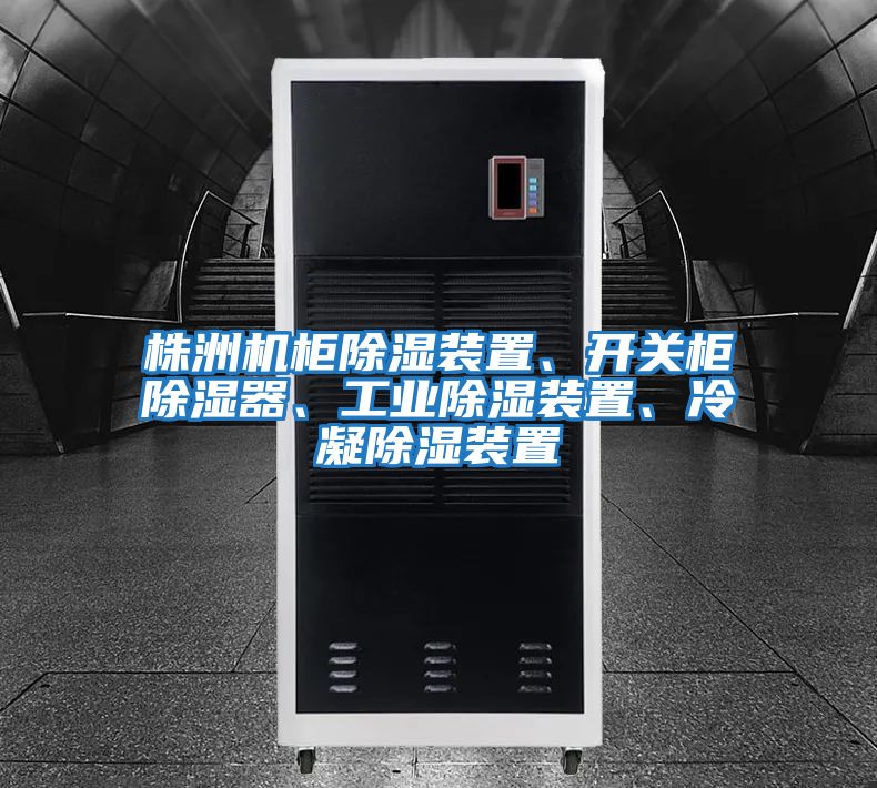 株洲機柜除濕裝置、開關(guān)柜除濕器、工業(yè)除濕裝置、冷凝除濕裝置