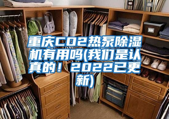 重慶CO2熱泵除濕機有用嗎(我們是認真的！2022已更新)