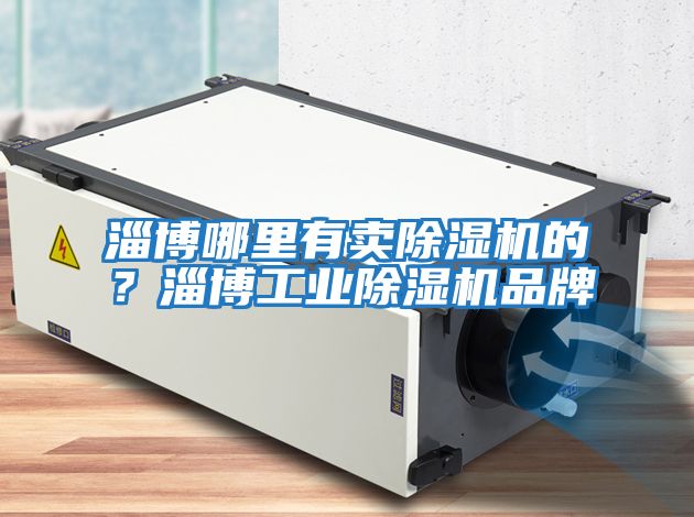 淄博哪里有賣除濕機的？淄博工業除濕機品牌