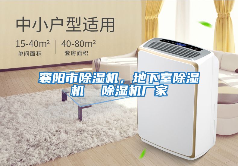 襄陽市除濕機,地下室除濕機 除濕機廠家