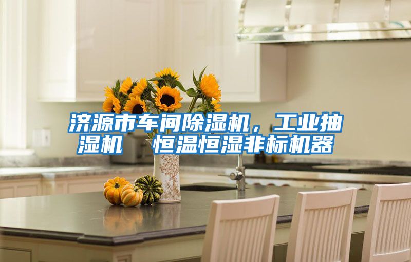 濟源市車間除濕機，工業抽濕機  恒溫恒濕非標機器