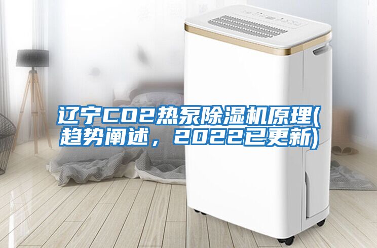 遼寧CO2熱泵除濕機(jī)原理(趨勢(shì)闡述，2022已更新)
