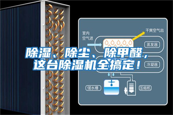 除濕、除塵、除甲醛，這臺除濕機全搞定！