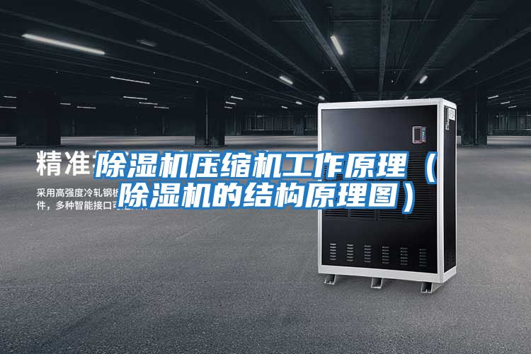 除濕機壓縮機工作原理(除濕機的結(jié)構(gòu)原理圖)