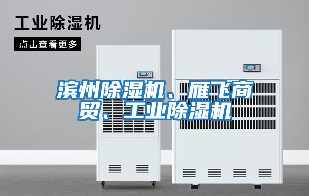 濱州除濕機(jī)、雁飛商貿(mào)、工業(yè)除濕機(jī)