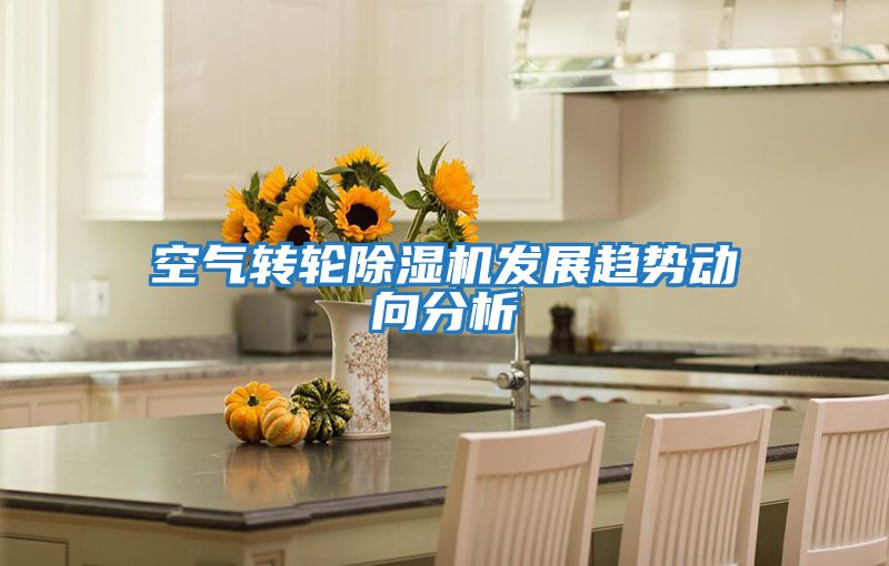 空氣轉(zhuǎn)輪除濕機(jī)發(fā)展趨勢動向分析