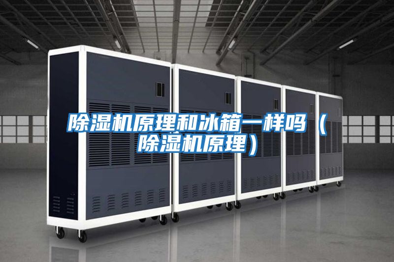 除濕機原理和冰箱一樣嗎(除濕機原理)
