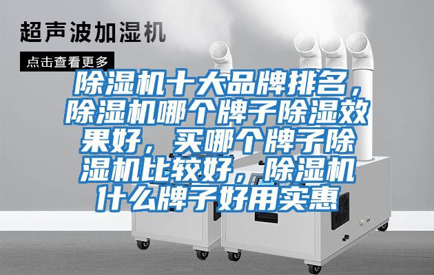 除濕機十大品牌排名,除濕機哪個牌子除濕效果好,買哪個牌子除濕機比較好,除濕機什么牌子好用實惠