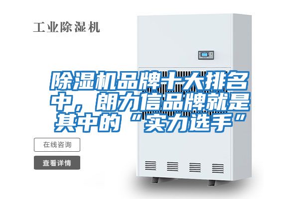除濕機品牌十大排名中，朗力信品牌就是其中的“實力選手”