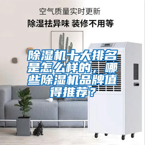 除濕機十大排名是怎么樣的，哪些除濕機品牌值得推薦？