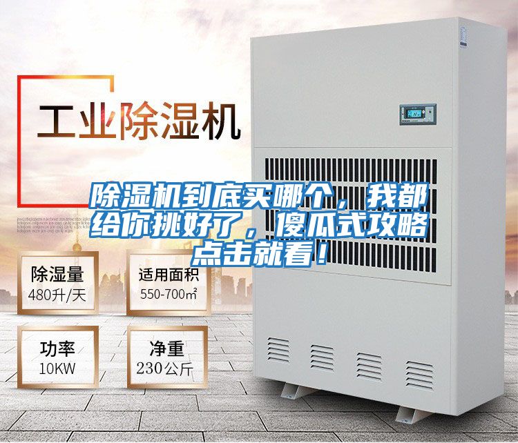 除濕機到底買哪個，我都給你挑好了，傻瓜式攻略點擊就看！
