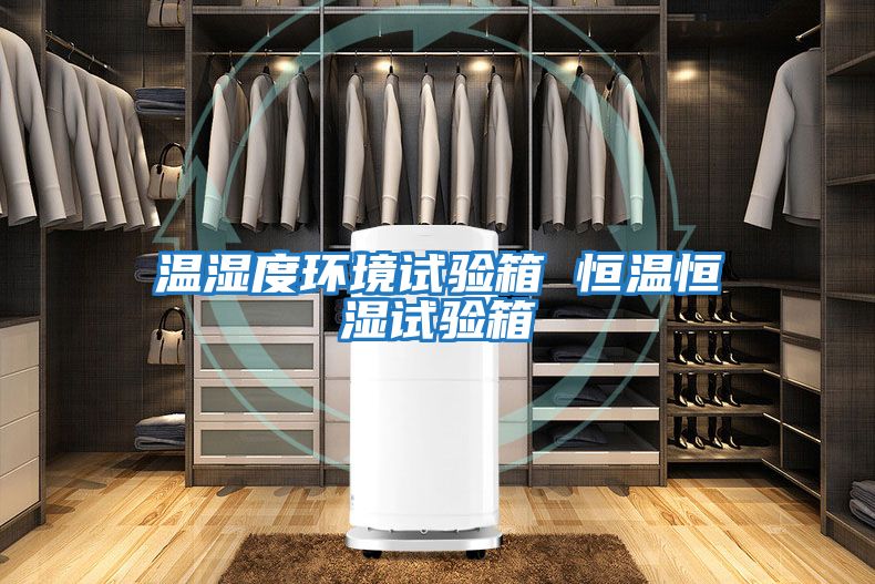 溫濕度環境試驗箱 恒溫恒濕試驗箱