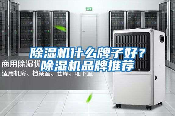 除濕機什么牌子好？除濕機品牌推薦