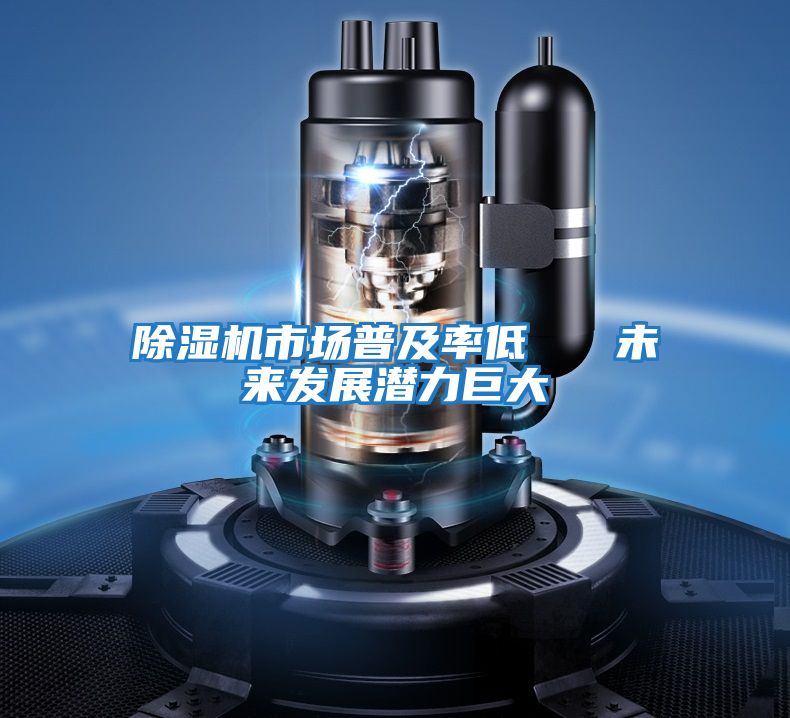 除濕機(jī)市場(chǎng)普及率低   未來(lái)發(fā)展?jié)摿薮?></div>
								<div   id=
