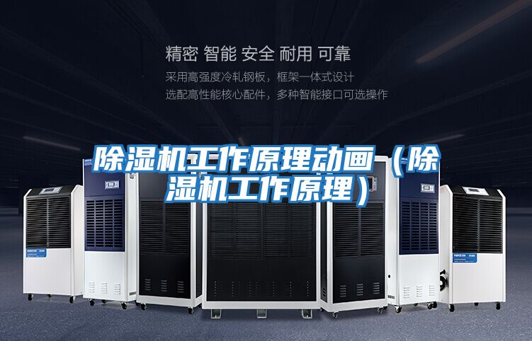 除濕機工作原理動畫(除濕機工作原理)