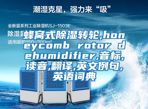 蜂窩式除濕轉(zhuǎn)輪,honeycomb rotor dehumidifier,音標,讀音,翻譯,英文例句,英語詞典