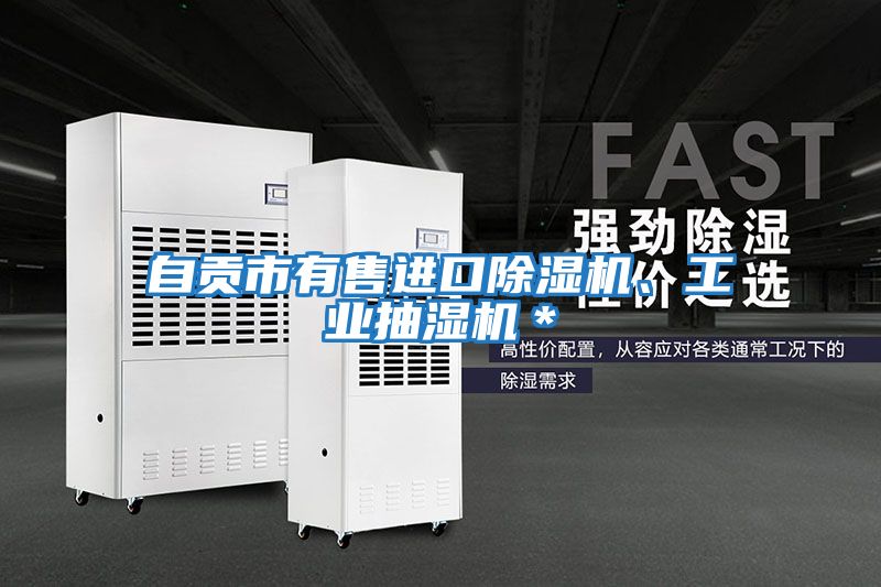 自貢市有售進口除濕機、工業抽濕機＊