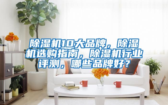 除濕機10大品牌，除濕機選購指南，除濕機行業評測，哪些品牌好？