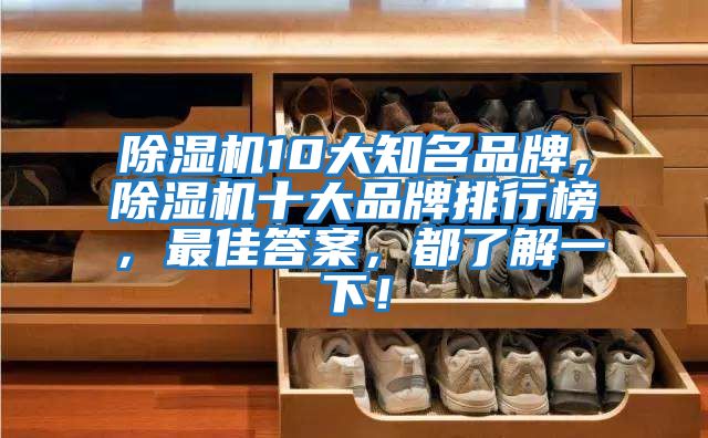 除濕機10大知名品牌，除濕機十大品牌排行榜，最佳答案，都了解一下！