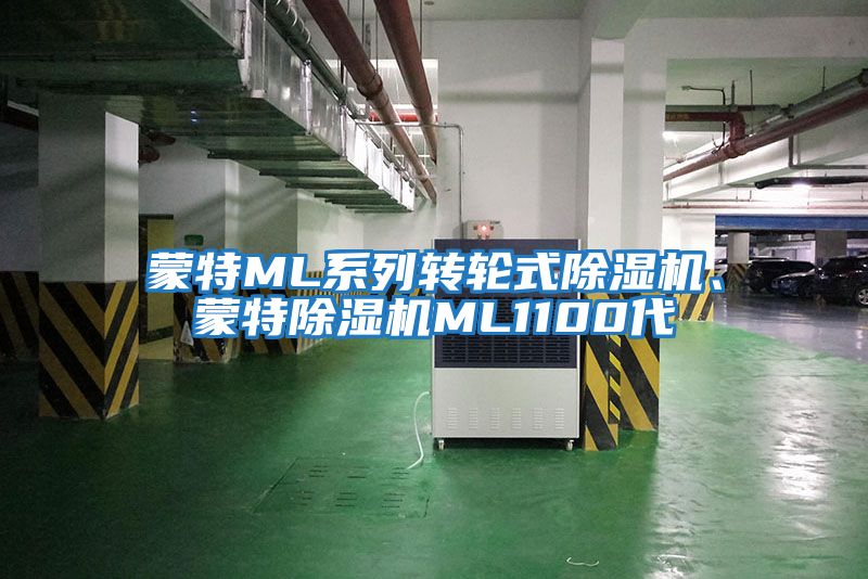 蒙特ML系列轉(zhuǎn)輪式除濕機、蒙特除濕機ML1100代