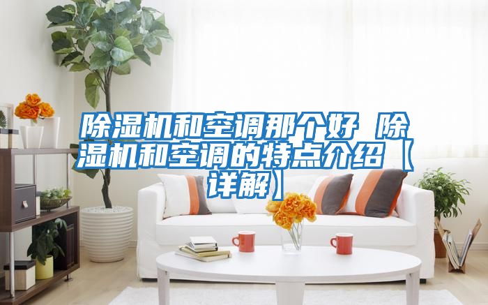 除濕機(jī)和空調(diào)那個好 除濕機(jī)和空調(diào)的特點介紹【詳解】