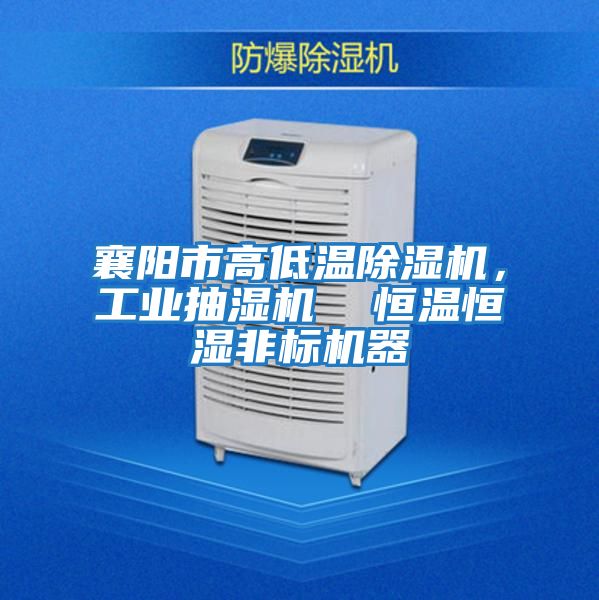 襄陽市高低溫除濕機(jī),工業(yè)抽濕機(jī) 恒溫恒濕非標(biāo)機(jī)器