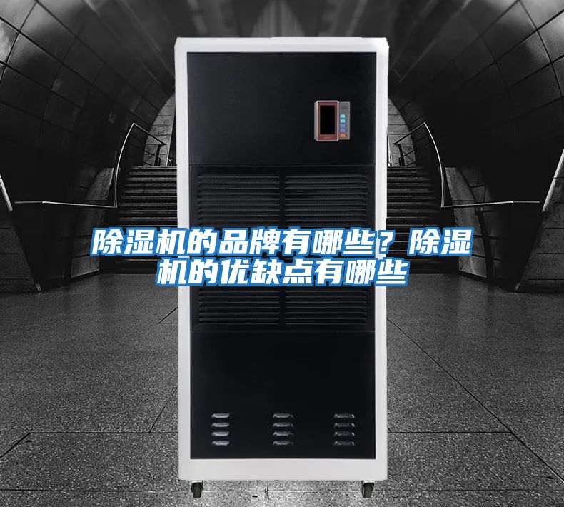 除濕機(jī)的品牌有哪些？除濕機(jī)的優(yōu)缺點有哪些