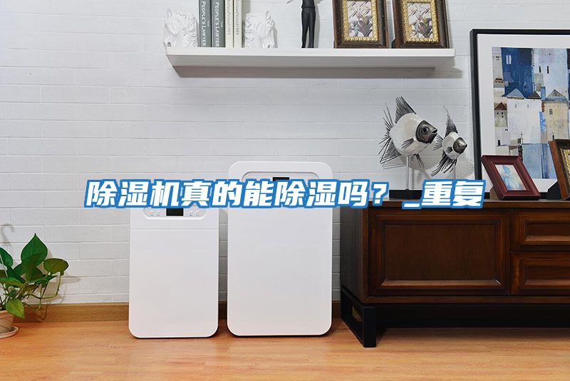 除濕機真的能除濕嗎？_重復