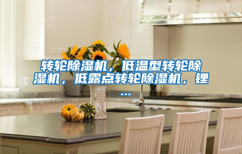 轉(zhuǎn)輪除濕機(jī)，低溫型轉(zhuǎn)輪除濕機(jī)，低露點(diǎn)轉(zhuǎn)輪除濕機(jī)，鋰 ...