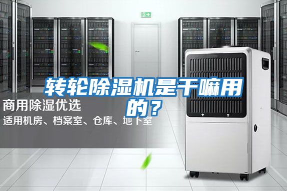 轉(zhuǎn)輪除濕機(jī)是干嘛用的？