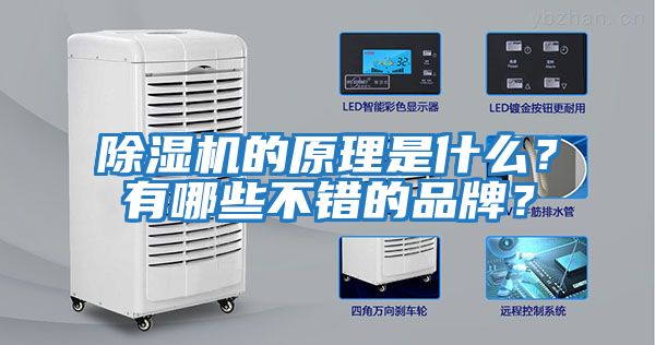 除濕機的原理是什么？有哪些不錯的品牌？