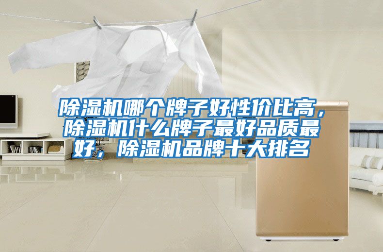 除濕機哪個牌子好性價比高，除濕機什么牌子最好品質最好，除濕機品牌十大排名