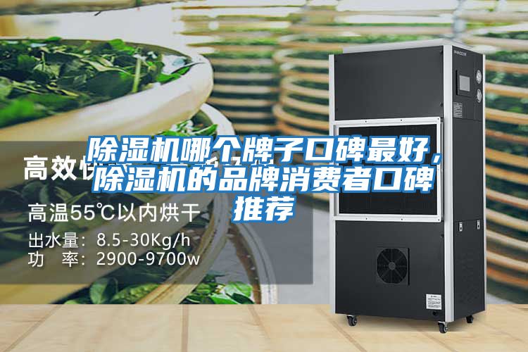 除濕機哪個牌子口碑最好，除濕機的品牌消費者口碑推薦