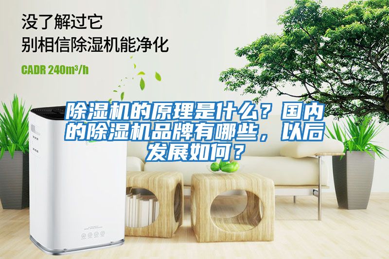 除濕機的原理是什么？國內的除濕機品牌有哪些，以后發展如何？