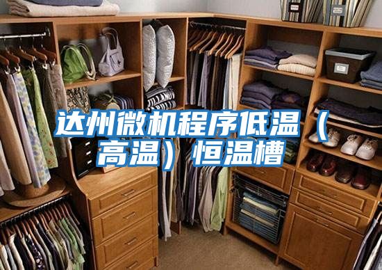 達(dá)州微機(jī)程序低溫(高溫)恒溫槽